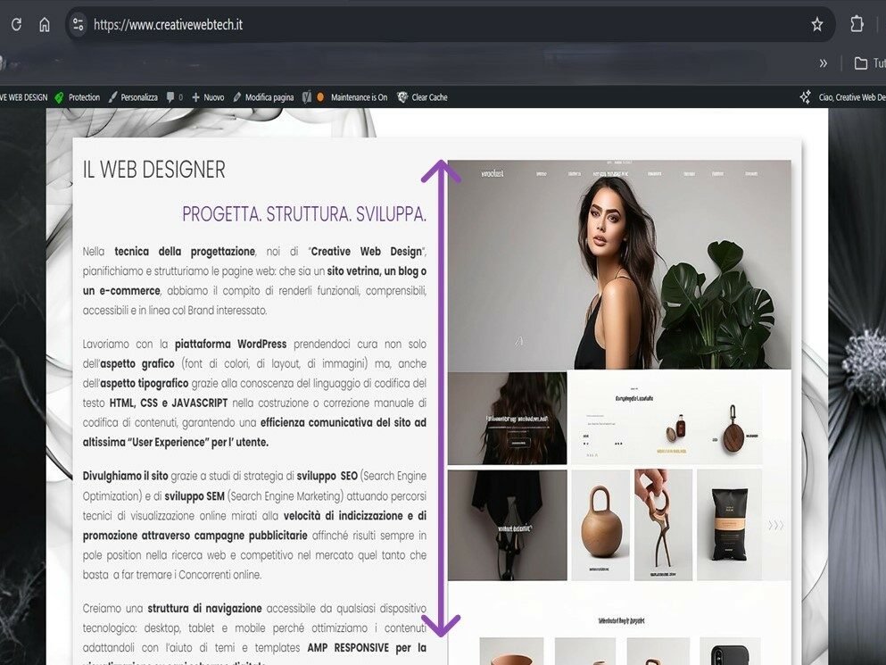 wordpress codice di programmazione css