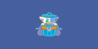 SEZIONE MEDIA DI WORDPRESS MEDIA CLEANER