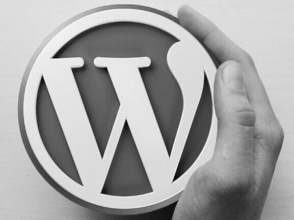 WORDPRESS PLUGIN