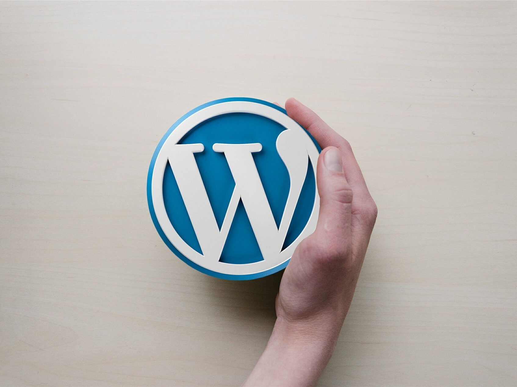 progettare portali web con wordpress